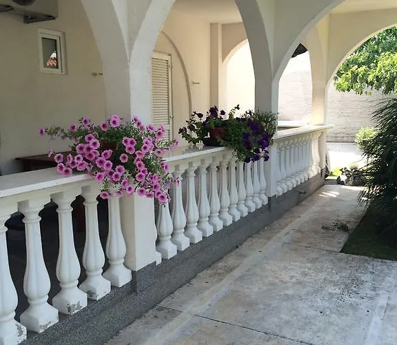 Amelia * ヴォディツェ